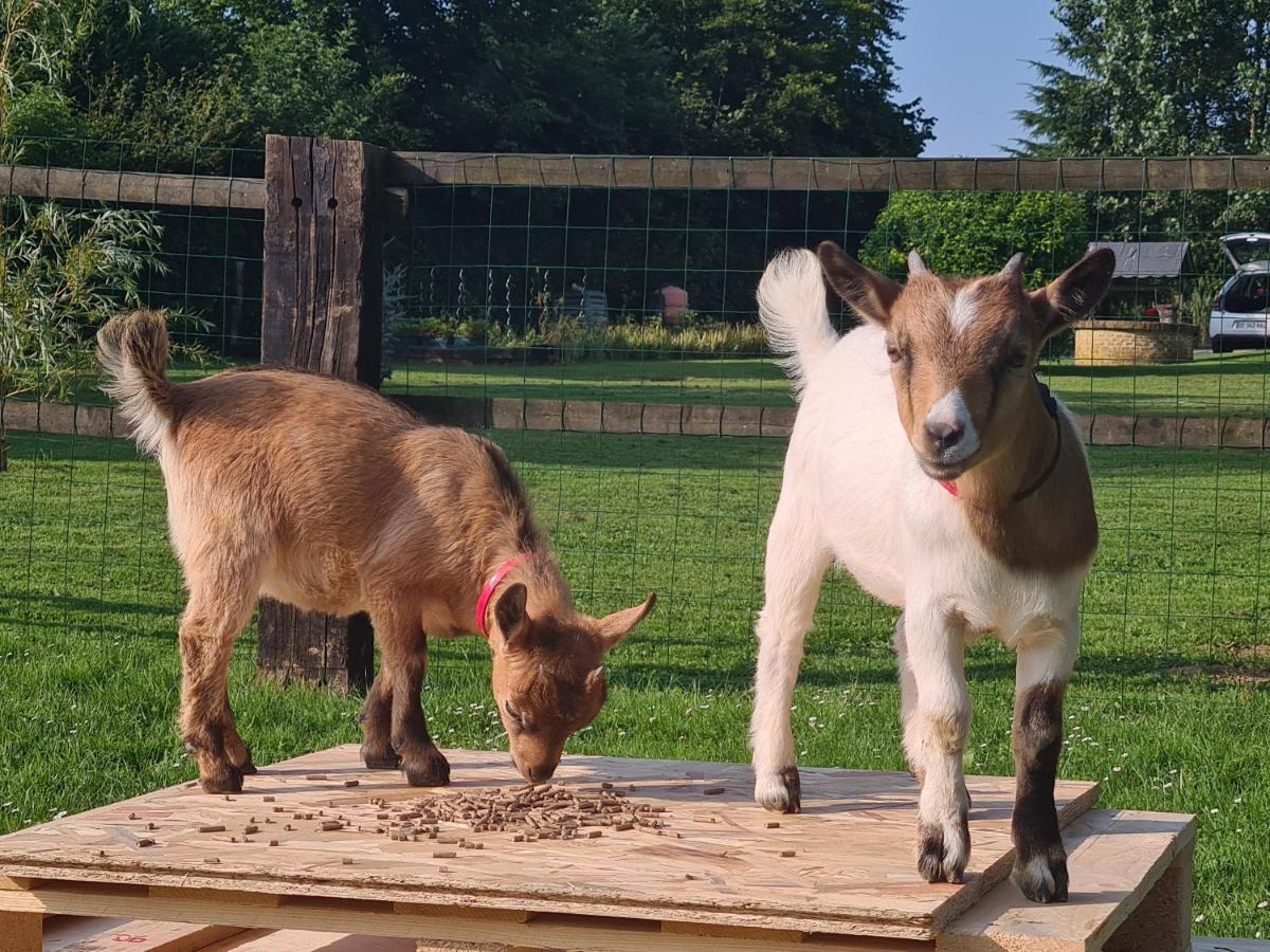 Gite Le Manege Normand Grand-Camp  المظهر الخارجي الصورة